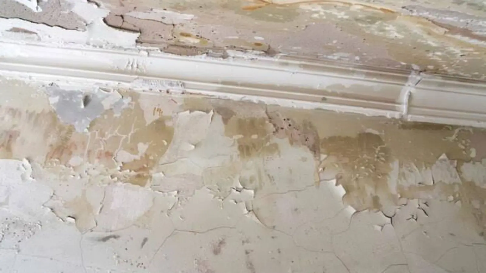 Peeling paint and water-damaged drywall along a wall and trim