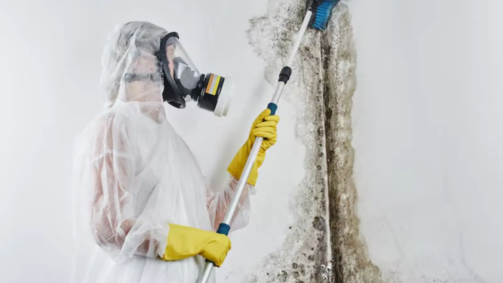 Technician in respirator and protective suit treating a mold-stained wall