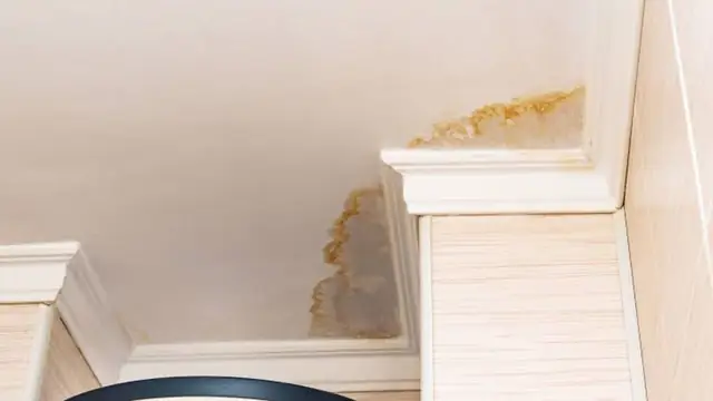 Yellow-brown water stain spreading across a ceiling corner