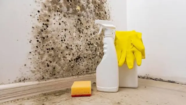 Black mold on a wall corner with cleaning gloves, sponge and spray bottle