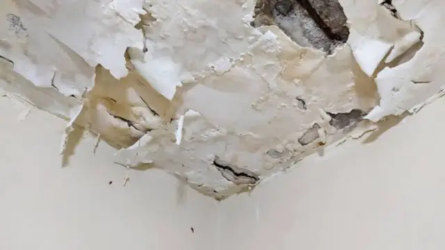 Peeling ceiling paint and plaster damage after a leak