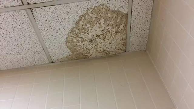 Small water stain on a ceiling tile near the wall
